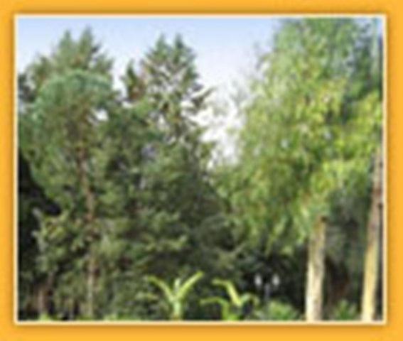 Villa Mado เชจลีเมสซาปิกา ภายนอก รูปภาพ